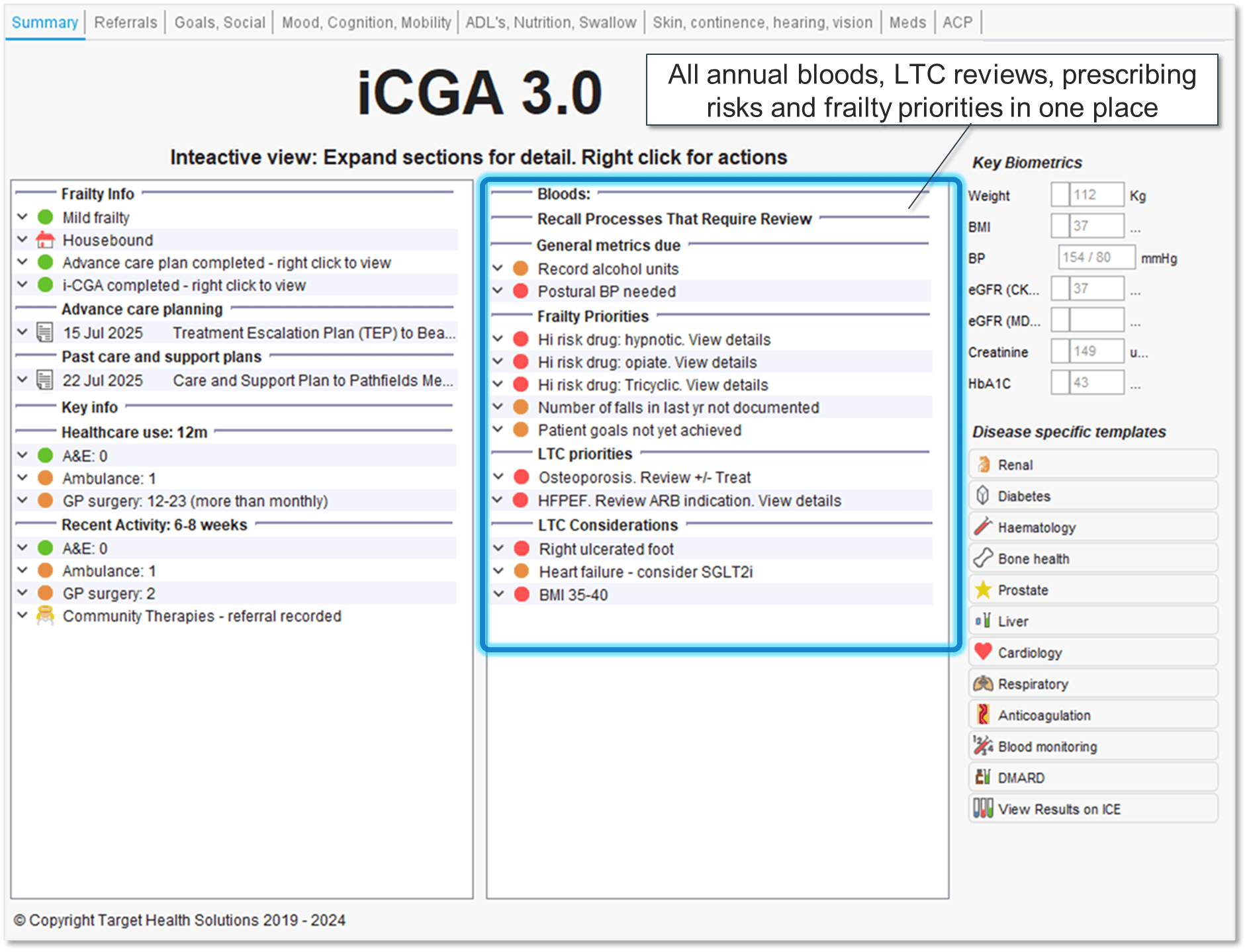 iCGA 3.0 consolidated clinical view showing frailty priorities, prescribing risks, long-term condition reviews, and traffic-light alerts across an integrated neighbourhood team